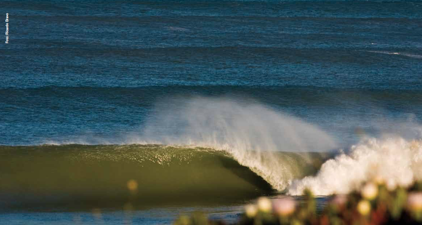 Olá Onda Ericeira Guesthouse - Surf Guide -Cave