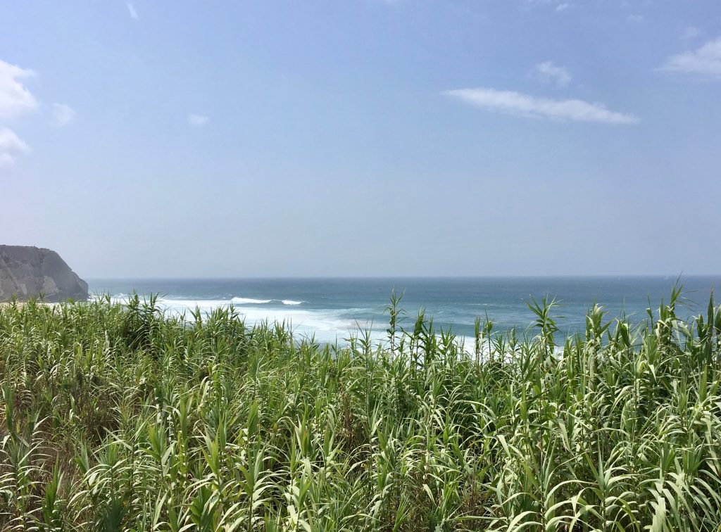 Olá Onda Ericeira Guesthouse - Surf Guide -Praia Grande