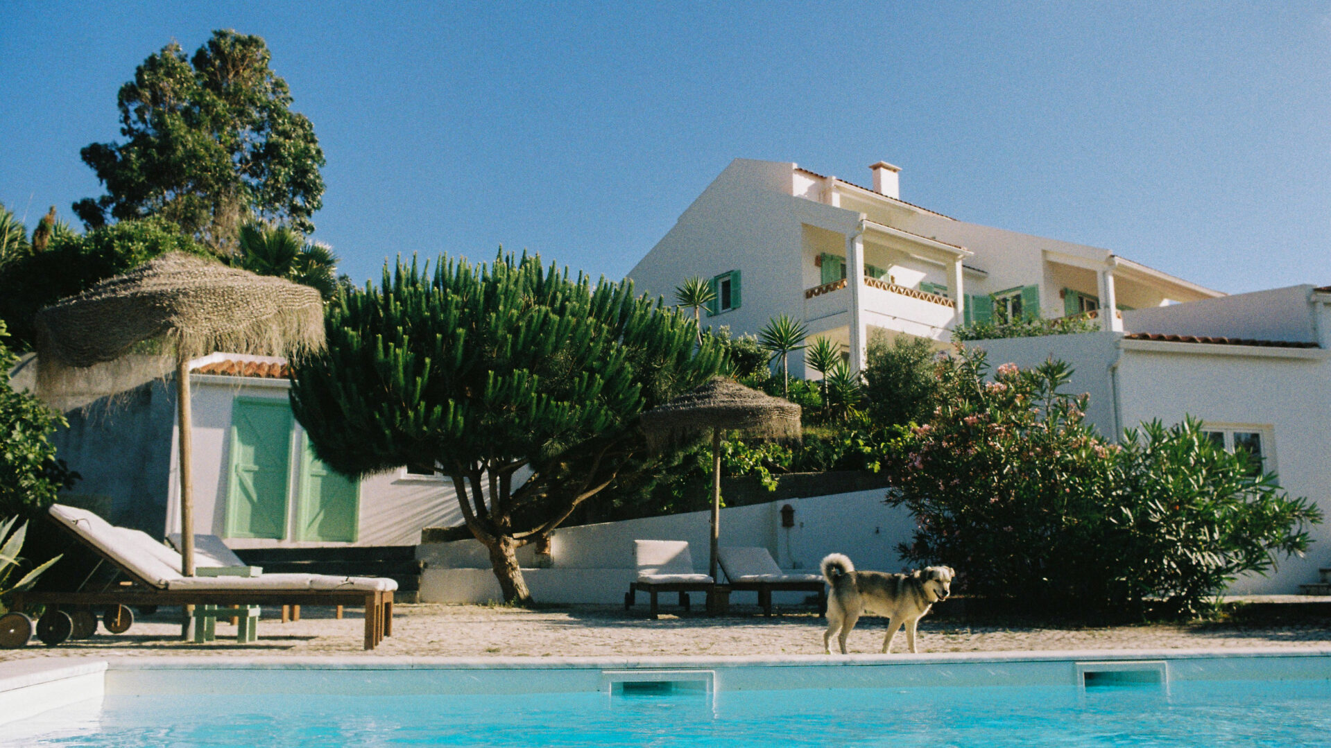 Olá Onda Ericeira Guesthouse