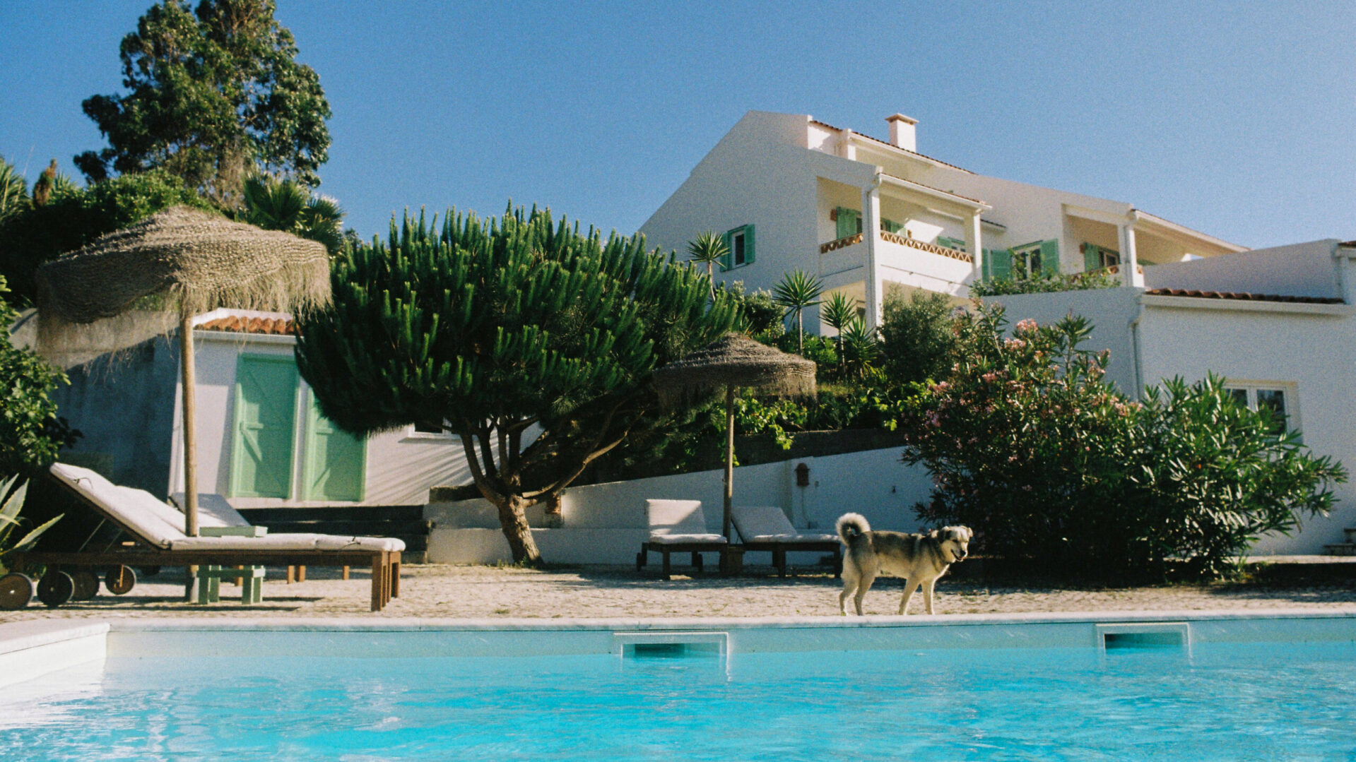 Olá Onda Ericeira Guesthouse